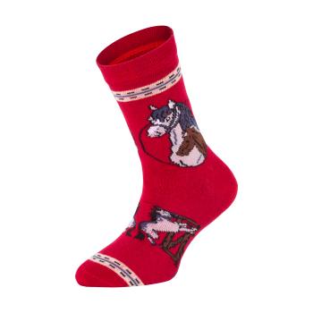 Preview: 6 Paar TippTexx 24 Kinder Socken Pferde