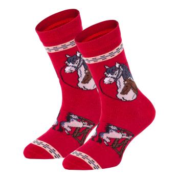 6 Paar TippTexx 24 Kinder Socken Pferde